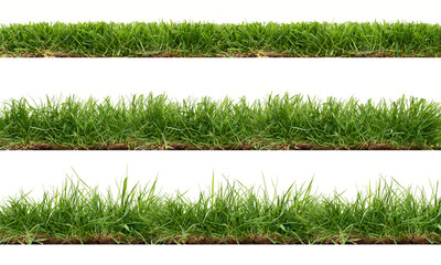 a collection of real grass borders, short, medium and long grass edges isolated on a transparent bac