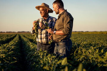 Two farmers in a field examining soy crop at sunset.	
