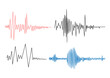 Earthquake seismogram waves set. Seismograph vibration recording chart collection. Polygraph lie detector diagram record. Audio wave, wind or tempetature measurement graph. Vector illustration.