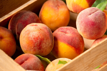 Wall Mural - Ripe peaches on basket and wooden background