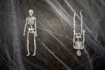 Wall Mural - Halloween concept ,web with skeletons on a black background with a place for text ,mockup