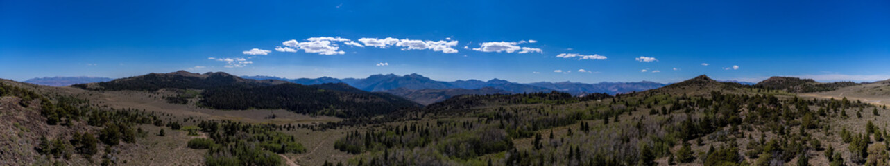 Wall Mural - panorama of Monitor Pass in the eastern sierra nevada mountains 