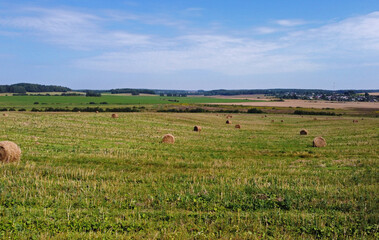 Wall Mural - Aerial view of agro fields with harvesting and haystacks