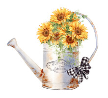 Watercolor Rusty Iron Watering Can With Sunflower Bouquet. Farmhouse Style Illustration.  Vintage French Country Design