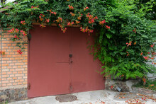 The Iron Gate Is Painted With Red Paint. The Arch Above The Gate Is Made Of A Bush With Orange Flowers