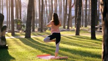 Beautiful Young Woman Engaged In Yoga In A Park