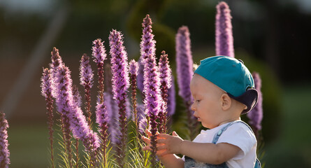 Sticker - A small brightly dressed boy is playing with large purple flowers in the backyard.