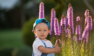 Sticker - A small brightly dressed boy is playing with large purple flowers in the backyard.