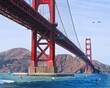© Stuart - Kite Surfers under Golden Gate.