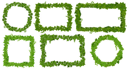 Wall Mural - ivy frames, green leaves on lianas and jungle tropical vine borders, vector forest plants. jungle li