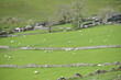 View over Langstrothdale in the Yorkshire Dales