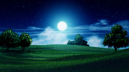 Wall Mural - Moonlight over beautiful meadow.