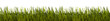 Leinwandbild Motiv grass border stylized on transparent background