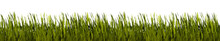 Grass Border Stylized On Transparent Background
