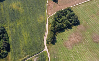 Wall Mural - Aerial view of agro rural fields. Harvesting on the farm landscape