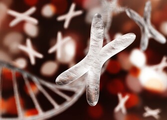 Canvas Print - Chromosome, X chromosome, human gene, heredity, chromosome on a blurred background, 3D rendering