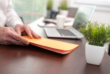 Wall Mural - Businessman holding folder