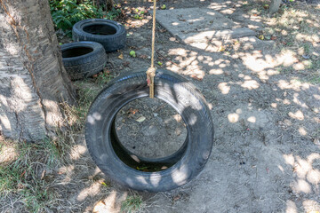 Rustic swing made from an old car tire hung with ropes on tree against dry ground, black tires and apples on ground, blurred background, sunny summer day at children's recreational area in an orchard