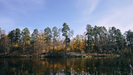 Low-angle view of a beautiful forest near the lake