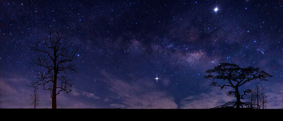 Panorama blue night sky milky way and star on dark background.Universe filled, nebula and galaxy with noise and grain.with tourists taking pictures of giraffes.