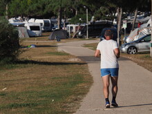 A Man In A T-shirt And Sports Shorts Goes For A Morning Jog Along A Narrow Park Path