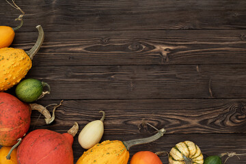 Wall Mural - Autumn banner with squash harvest on the background of an vintage rustic table
