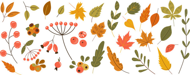 Wall Mural - autumn leaves, berries in doodle style vector