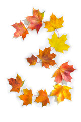 Wall Mural - number 3 from of colorful autumnal maple leaves on white background. top view, flat lay