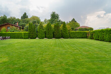 Green Mowed Lawn In A Large Garden Or In A Park. Plant Care In Parks. 