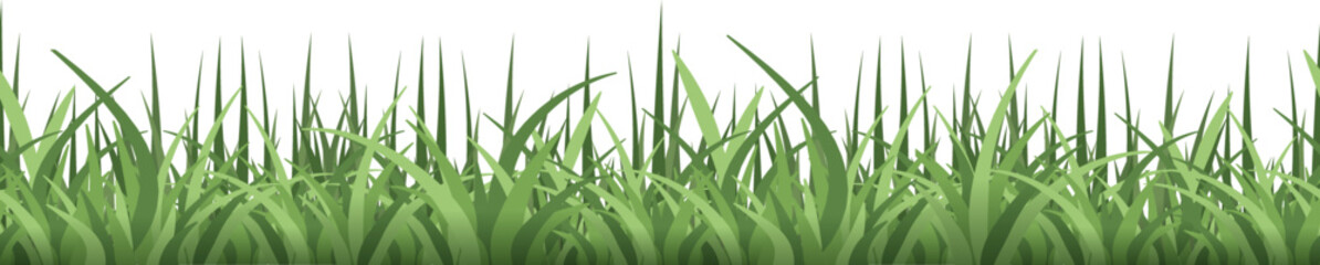 Poster - Horizontal grass border. Fresh natural garden lush