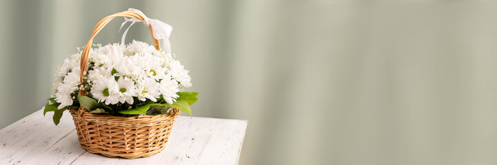 Wall Mural - Wicker basket of white chamomile chrysanthemums on wooden background against green textile curtains banner with copy space. Wide panoramic header. Gift flowers basket for the holiday