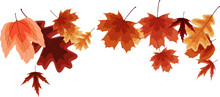 Autumn Falling Leaves Decoration Element
