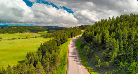 Wall Mural - Mountain road aerial view through the woods in summer season