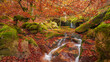 © ADDICTIVE STOCK - Small waterfall on autumn day in forest