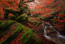 Small Waterfall On Autumn Day In Forest