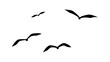 正面から見た飛ぶ鳥の群れ_シルエット素材