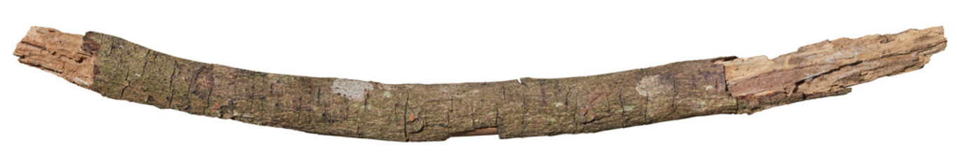 Dry branch tree naturally.