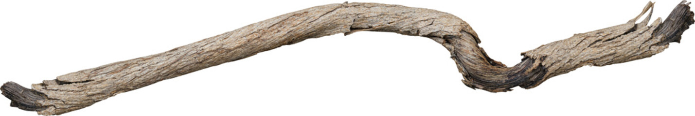 Dry branch tree naturally.