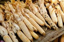 Dried Indian Corn at Farmers Market