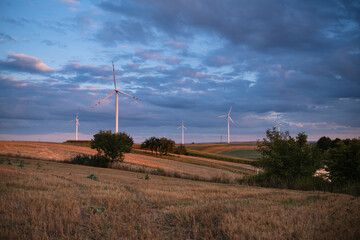 Autumn field with a wind farm at sunset