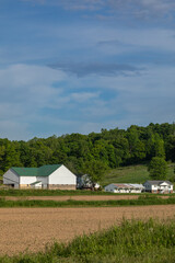 Wall Mural - Amish farm at the base of a wooded hill on a summer day in Holmes County, Ohio