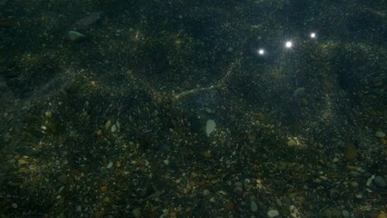 Poster - WATER SURFACE WITH FLASH ON THE SEA