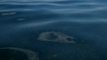 Poster - WATER SURFACE WITH FLASH ON THE SEA