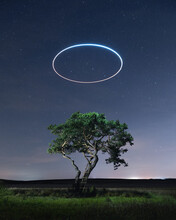 Light Painting On A Lonely Tree In A Field.
