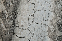 Cracked Grey Dry Dirt Texture With Tire Prints On Sides