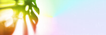 Banner. The Shadow Of A Tropical Monstera Leaf Is Painted In A Rainbow Color On A Rainbow Fabric Background. With A Space To Copy. A Template For Your Product. High Quality Photo
