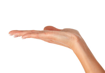 Closeup shot of female hand isolated on white background