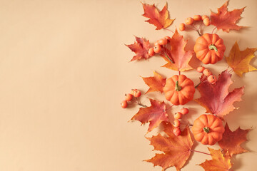 Wall Mural - flat lay frame with colorful autumn leaves and pumpkins on an orange background