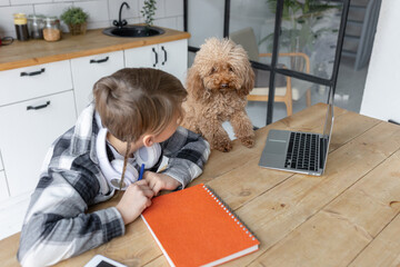 teenager boy doing homework with a cute brown dog near him, watching laptop. concept of back to scho