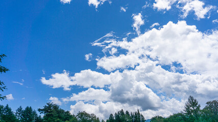Wall Mural - 青空と雲の風景